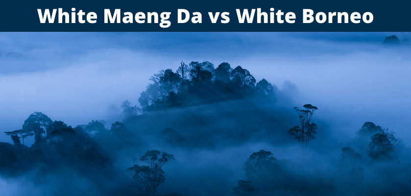 White Maeng Da vs White Borneo