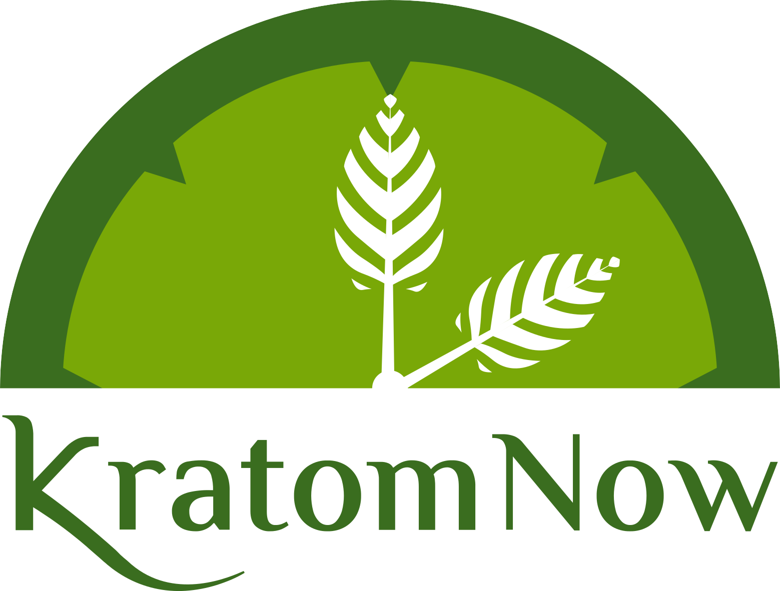 kratom now clock logo
